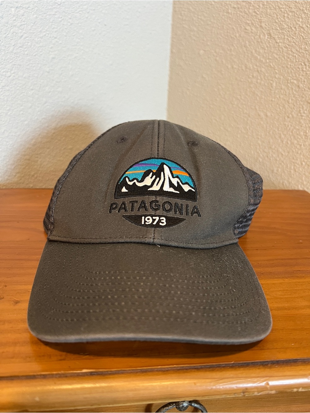 Patagonia Charcoal Trucker Hat with Multicolor Mountain Patch